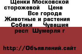 Щенки Московской сторожевой  › Цена ­ 25 000 - Все города Животные и растения » Собаки   . Чувашия респ.,Шумерля г.